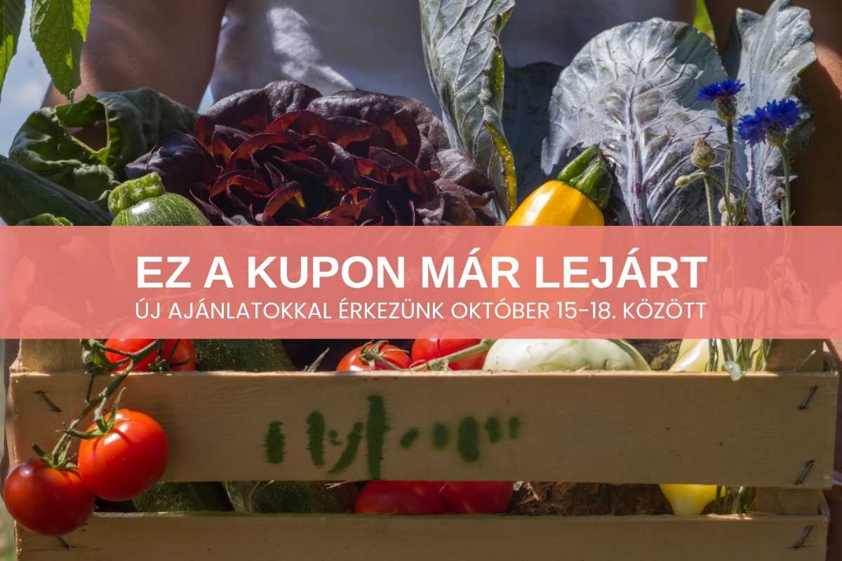 MyFarm Kft.