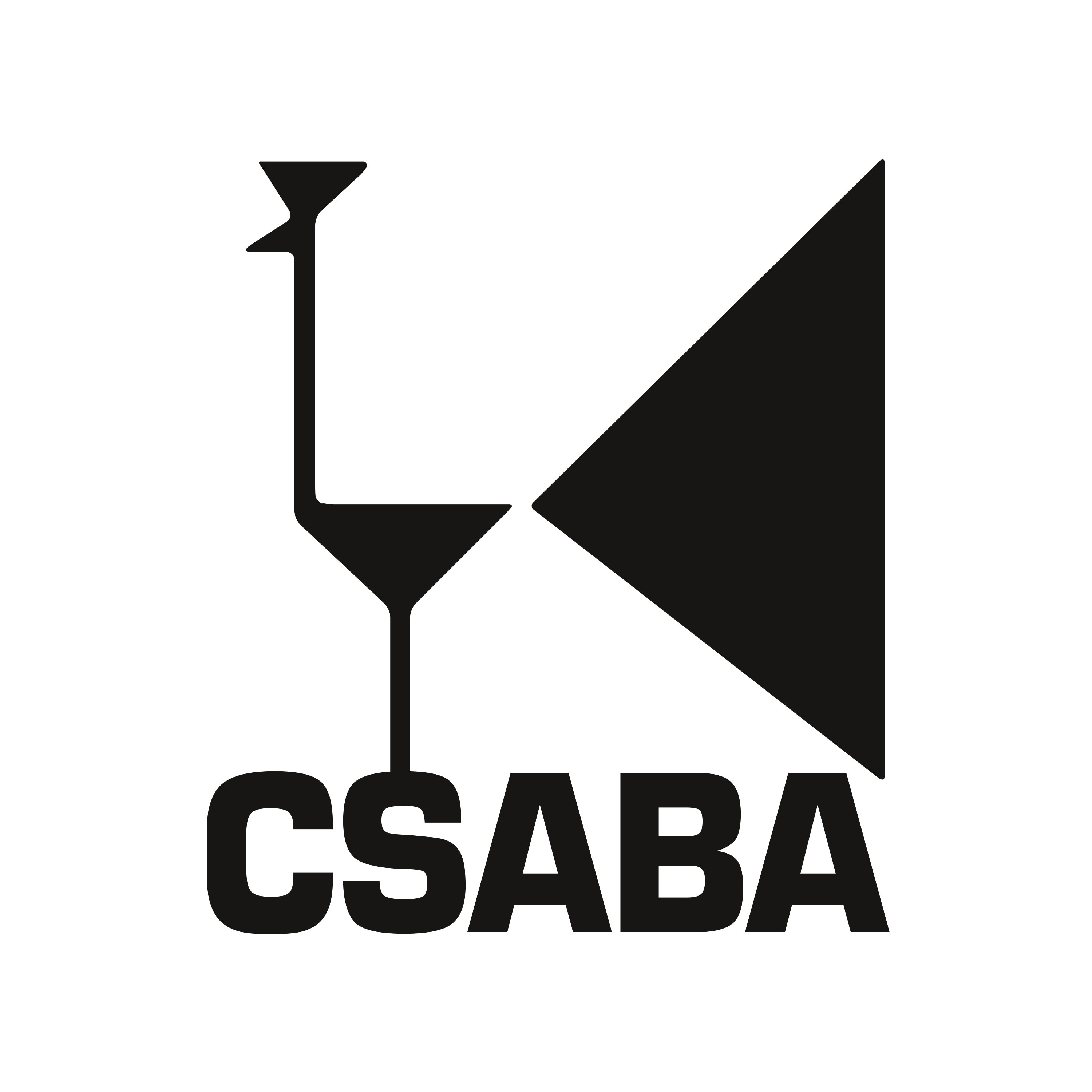 Csaba szőnyeg logo