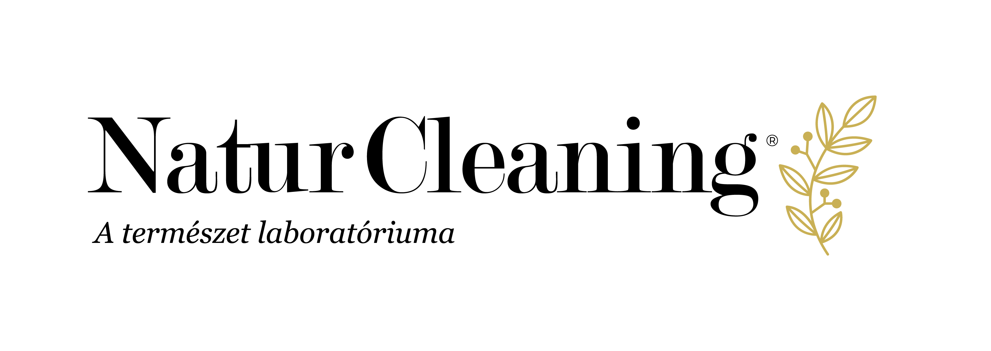 Naturcleaning logo